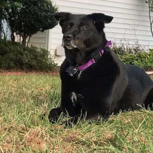 Meet your Posher, Chirs